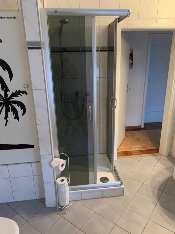 Mainpark Apartment 4 Schlafzimmer Bis Zu 10 Personen Direkt Ueber Aschaffapartment Bei Aschaffenburg Mainaschaff 外观 照片